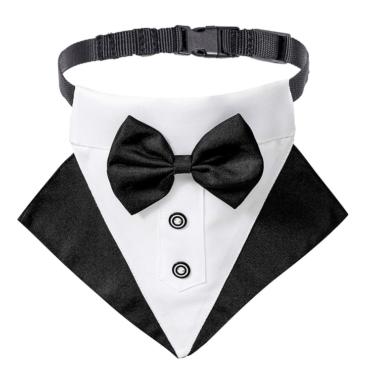 ປັບຕົວໄດ້ ຜ້າພັນບາດຫມາ Wedding Tuxedo ມີ Bowtie