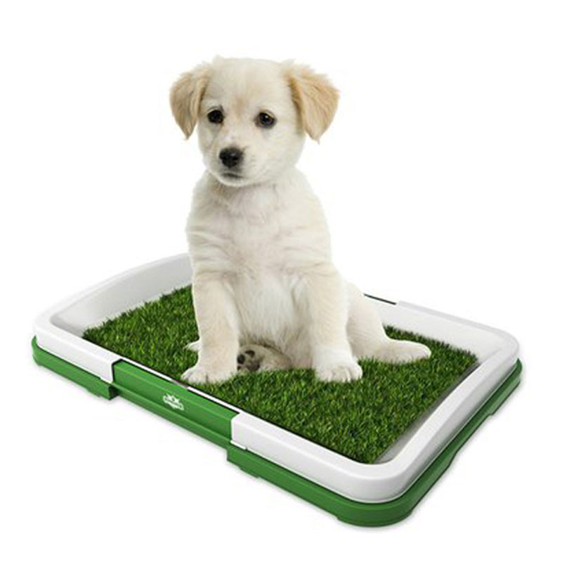 ຖາດຫຍ້າ Mat Indoor Pet Potty Tray