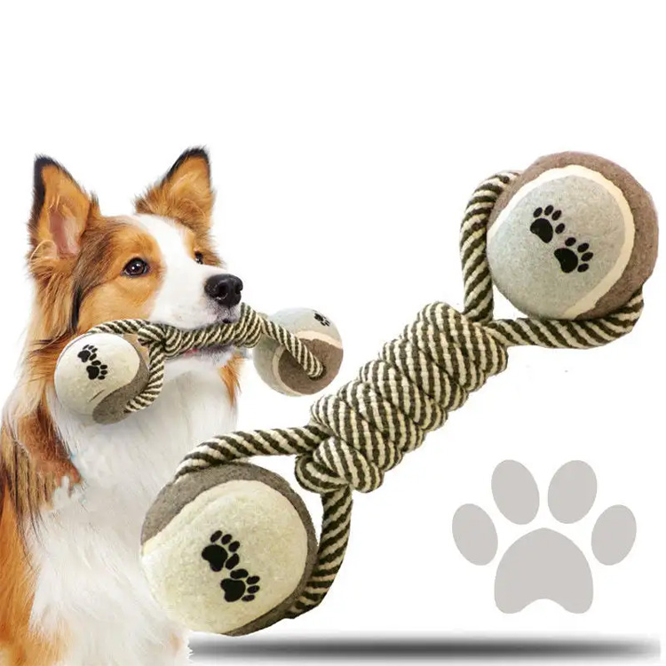 knot ແລະບານປະສົມປະສານຫມາກເຜັດທີ່ໃຊ້ເວລາແກ້ມແກ້ມແກ້ມແກ້ມ molar chowing